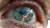Cyberpunk Eye Cityscape Vinyl Car Decal Sticker – Waterproof & UV-Resistant 5.4