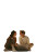 Young Couple Sharing V2 Vinyl Car Decal Sticker – Waterproof & UV-Resistant 8.96"