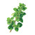 Oregano Stalk Drawing Vinyl Car Decal Sticker – Waterproof & UV-Resistant 6.826666666666667"