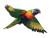 Rainbow Lorikeet Flying Vinyl Car Decal Sticker – Waterproof & UV-Resistant 6.1866666666666665"