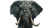 Angry Elephant Vinyl Car Decal Sticker – Waterproof & UV-Resistant 5.4