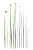 Green Lily Stems Vinyl Car Decal Sticker – Waterproof & UV-Resistant 8.96"