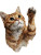 Whimsical Cat Creation Vinyl Car Decal Sticker – Waterproof & UV-Resistant 4.1066666666666665"