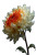Chrysanthemum Vinyl Car Decal Sticker – Waterproof & UV-Resistant 8.96"