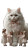 Fluffy Cat Salon Vinyl Car Decal Sticker – Waterproof & UV-Resistant 9.706666666666667"