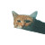 Cute Cat Passenger Vinyl Car Decal Sticker – Waterproof & UV-Resistant 3.4133333333333336"