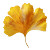 Ginkgo Leaf Vinyl Car Decal Sticker – Waterproof & UV-Resistant 6.826666666666667"