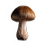 Paris Mushroom Vinyl Car Decal Sticker – Waterproof & UV-Resistant 6.826666666666667"