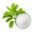 Stevia Extract Vinyl Car Decal Sticker – Waterproof & UV-Resistant 3.4133333333333336"