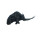 Reef-Bison Hybrid Vinyl Car Decal Sticker – Waterproof & UV-Resistant 2.986666666666667"