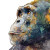 Inquisitive Chimpanzee Art Vinyl Car Decal Sticker – Waterproof & UV-Resistant 6.826666666666667"