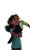 Girl With Toucan Vinyl Car Decal Sticker – Waterproof & UV-Resistant 4.586666666666667"