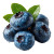 Fresh Blueberries Vinyl Car Decal Sticker – Waterproof & UV-Resistant 3.4133333333333336"