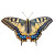 Swallowtail Butterfly Vinyl Car Decal Sticker – Waterproof & UV-Resistant 3.4133333333333336"