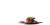 Young Chef Serving Vinyl Car Decal Sticker – Waterproof & UV-Resistant 2.56"