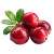 Fresh Cranberries Vinyl Car Decal Sticker – Waterproof & UV-Resistant 3.4133333333333336"