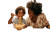 Joyful Meal Moment V2 Vinyl Car Decal Sticker – Waterproof & UV-Resistant 6.1866666666666665"