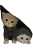 Hiding Kittens V4 Vinyl Car Decal Sticker – Waterproof & UV-Resistant 8.96"