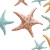 Pastel Starfish Vinyl Car Decal Sticker – Waterproof & UV-Resistant 3.4133333333333336"