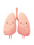 Cute Cartoon Lungs Vinyl Car Decal Sticker – Waterproof & UV-Resistant 8.213333333333333"