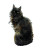 Regal Arcane Cat V2 Vinyl Car Decal Sticker – Waterproof & UV-Resistant 8.0"