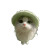 Cute Kitten V10 Vinyl Car Decal Sticker – Waterproof & UV-Resistant 3.4133333333333336"