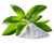 Fresh Stevia Leaves Vinyl Car Decal Sticker – Waterproof & UV-Resistant 6.613333333333333"