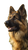 German Shepherd Profile Vinyl Car Decal Sticker – Waterproof & UV-Resistant 9.706666666666667"