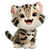 Smiling Kitten V2 Vinyl Car Decal Sticker – Waterproof & UV-Resistant 3.4133333333333336"