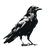Eerie Crow Stencil Vinyl Car Decal Sticker – Waterproof & UV-Resistant 3.4133333333333336"