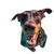 Laughing Dobermann Swim Vinyl Car Decal Sticker – Waterproof & UV-Resistant 6.826666666666667"