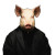 Pig V15 Vinyl Car Decal Sticker – Waterproof & UV-Resistant 3.4133333333333336"