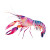Delicate Crayfish Vinyl Car Decal Sticker – Waterproof & UV-Resistant 3.4133333333333336"