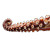 Octopus Tentacle V3 Vinyl Car Decal Sticker – Waterproof & UV-Resistant 6.826666666666667"