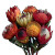Protea Bouquet V2 Vinyl Car Decal Sticker – Waterproof & UV-Resistant 6.826666666666667"