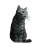 Silver Tabby Cat V2 Vinyl Car Decal Sticker – Waterproof & UV-Resistant 3.4133333333333336"