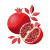 Pomegranate Illustration V2 Vinyl Car Decal Sticker – Waterproof & UV-Resistant 6.826666666666667"