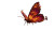 Flaming Butterfly Vinyl Car Decal Sticker – Waterproof & UV-Resistant 5.4