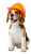 Helmeted Beagle Vinyl Car Decal Sticker – Waterproof & UV-Resistant 9.706666666666667"