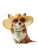 Stylish Beach Corgi V2 Vinyl Car Decal Sticker – Waterproof & UV-Resistant 8.213333333333333"