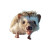 Surfing Hedgehog Vinyl Car Decal Sticker – Waterproof & UV-Resistant 3.4133333333333336"