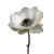 Crown Anemone Flower Vinyl Car Decal Sticker – Waterproof & UV-Resistant 6.826666666666667"