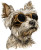 Steampunk Yorkie Vinyl Car Decal Sticker – Waterproof & UV-Resistant 3.946666666666666