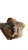 Sleeping Quokka Vinyl Car Decal Sticker – Waterproof & UV-Resistant 9.706666666666667"