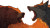 Angry Bear And Wolf Vinyl Car Decal Sticker – Waterproof & UV-Resistant 2.72"
