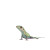 Messenger Lizard Vinyl Car Decal Sticker – Waterproof & UV-Resistant 3.4133333333333336"