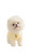 Fluffy White Pomeranian V2 Vinyl Car Decal Sticker – Waterproof & UV-Resistant 9.706666666666667"