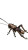 Steampunk Giant Weta Vinyl Car Decal Sticker – Waterproof & UV-Resistant 9.706666666666667"