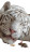 Sleeping Tiger Cheese Heist Vinyl Car Decal Sticker – Waterproof & UV-Resistant 9.706666666666667"