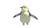 Dancing Penguin Vinyl Car Decal Sticker – Waterproof & UV-Resistant 5.4